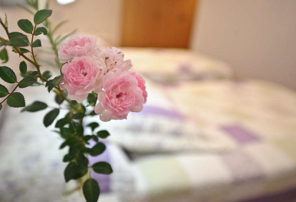 Country house Torre Gil *